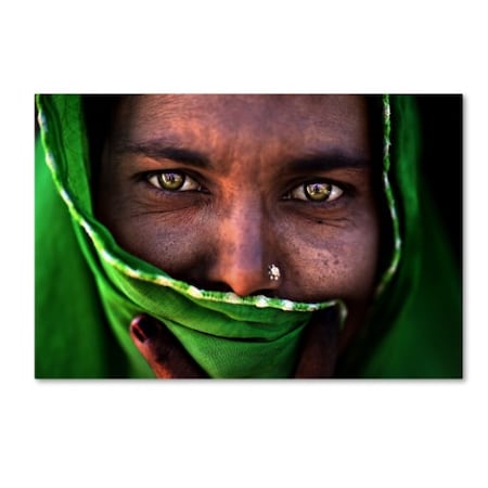 Alessandro Bergamini 'Green Face' Canvas Art,16x24